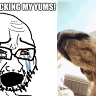 animal animated bloodshot_eyes crying discord_dog dog ear glasses looking_at_you open_mouth scared snout soyjak stubble thick_eyebrows variant:cryboy_soyjak whisker // 452x255 // 2.7MB