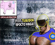 air_force allah arabic_text chechen chechenigger chechnya cyrillic_text drone flag:transgender_pride_flag helmet pig russia sniper_(tf2) tmd total_mudslime_death total_muslim_death // 1800x1478 // 725.9KB