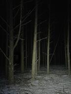 beard calm closed_eyes dark dark_area darkness forest glasses night shadows snow stubble subvariant:neutralplier tree variant:markiplier_soyjak winter wooded_area // 736x981 // 634.0KB
