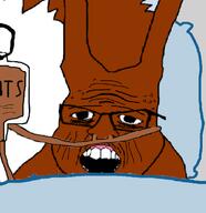 brown_fur deathbed dying hospital nasal_cannula old open_mouth pillow squirrel subvariant:feralsquirrel tail teeth variant:feraljak wart white_fur wrinkles // 750x774 // 1.7MB