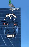 bird building clenched_teeth crying feather irl irl_background pidgeon poop sony variant:chudjak wojak // 960x1523 // 1.2MB
