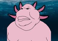 meta:tagme op_is_a_retarded_lazy_faggot_for_not_tagging_his_own_shit // 659x466 // 108.9KB