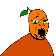 froot froot_(user) glasses leaf open_mouth orange orange_(fruit) orange_skin soyjak stubble template variant:shroomjak wrinkles // 648x651 // 5.8KB