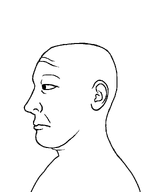 bald chin ear forehead_lines looking_to_the_left neutral no_glasses no_hair no_stubble nose series:sidejaks side_profile subvariant:kuzjak_side template transparent_background variant:kuzjak // 810x1080 // 31.0KB