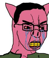 bloodshot_eyes clenched_teeth crying glasses hair lips soyjak template ukraine v-shaped_eyebrows variant:chudjak // 645x770 // 32.6KB