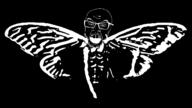 angry black_skin bug cicada cicada_3301 glasses inverted mustache open_mouth soyjak stubble variant:feraljak wing // 1280x720 // 148.1KB
