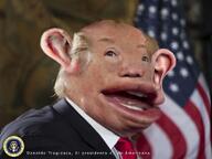 american_flag amerimutt blond clothes donald_trump flag:united_states mutt mutt_lips muttoid nas:amerimutt spanish_text text // 1200x902 // 98.5KB