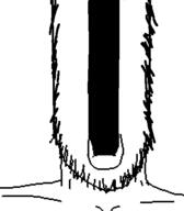 glasses multipart_image open_mouth soyjak stretched_mouth stubble variant:a24_slowburn_soyjak // 454x520 // 15.9KB