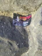 advertisement car flower irl_background operation_reality plant soyjak_party subvariant:wholesome_soyjak variant:gapejak // 3016x4032 // 5.0MB