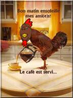 animal beak chicken coffee cup french_text irl_background kettle kitchen rooster smile smirk table variant:gapejak // 479x640 // 580.7KB