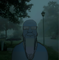 blue_skin calm car closed_eyes closed_mouth fence fog glasses grass happy irl irl_background leaf looking_at_you meta:not_oc morning nose outside road smile street_light stubble subvariant:longplier tree variant:markiplier_soyjak // 1445x1472 // 2.5MB