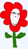 angry flower frown glasses plant series:objakt soyjak stubble variant:cobson // 1250x2182 // 48.9KB