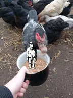 'o aryan duck irl rape subvariant:hornyson variant:cobson white_skin // 497x668 // 238.9KB