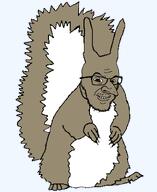 animal brown_hair series:animaljaks squirreljak subvariant:feral_merchant trend:squirreljakking variant:feraljak // 680x830 // 17.5KB