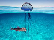 ack fish jellyfish troon variant:impish_soyak_ears variant:ishish_soyak_ears water // 1600x1163 // 1.5MB