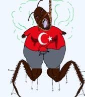 angry bloodshot_eyes bug cockroach country crying flag flag:turkiye hanging open_borders_for_turkey(nameroach) open_mouth rope soyjak tongue turkiye turkroach variant:bernd yellow_teeth // 619x703 // 57.8KB