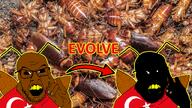 angry antenna arrow bald black_skin cockroach cockroach_farm cross_eyed derp evolution flag flag:turkiye glasses irl irl_background kara_boga nigger open_mouth outline roach soyjak star_and_crescent stubble text turk turkiye turkroach tvrkaryan vantablack vantablack_skin variant:feraljak white_background wolf wolf_salute yellow_outline // 1600x900 // 2.0MB