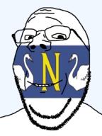 bom_jardim-rj brazil flag flag:bom_jardim-rj glasses municipality rio_de_janeiro smile soyjak stubble subvariant:wholesome_soyjak swans transparent_background variant:gapejak // 600x800 // 58.1KB