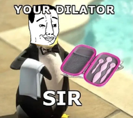 artist:crimsonvoidhydra1488 closed_mouth dilator edit holding_object penguin plate sir smile text towel variant:chudjak // 799x712 // 420.8KB