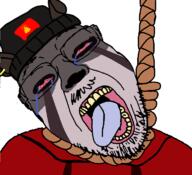 ACK! ack aged_up bloodshot_eyes brainrot furfag furry furry_artist gook hanged hanging mouth_open pedonigger pedophile rocky_rakoon tranny troon variant:bernd variant:gapejak variant:troonjak vietnam vietnamese // 768x700 // 284.6KB