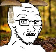 forest glasses irl_background looking_at_you mushroom open_mouth scared soyjak stubble subvariant:soyak_(concerned) variant:soyak // 838x792 // 817.5KB