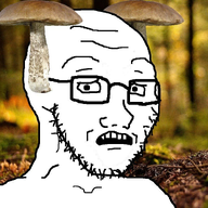 forest glasses irl_background looking_at_you mushroom open_mouth scared soyjak stubble subvariant:soyak_(concerned) variant:soyak // 838x792 // 817.5KB