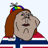angry brown_hair closed_mouth clothes country ear flag flag:norway grey_skin hair hat norway propeller_hat redraw soyjak subvariant:kranos variant:impish_soyak_ears // 800x800 // 25.2KB