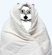 animal bald bed blanket cat catjak catjak_will_always_be_a_gemerald catjakerald cozy ear feline glasses ias jak stubble variant:catjak // 1377x1453 // 1.0MB