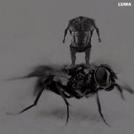buff bug fly gigafly greyscale meta:not_oc nas:gigachad subnas:gigafly