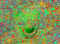 bald eyes glasses i_have_have_no_clue_what_the_fuck_is_happening is_a_fucking_soyjak is_a_soyjak multiple_colors stubble variant:feraljak // 4200x3100 // 20.1MB