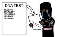 Warrior-Z(user) arab balaclava bloodshot_eyes chechnya crying dna_test holding_paper nigger pajeet roach shitskin variant:chudjak // 665x428 // 23.5KB