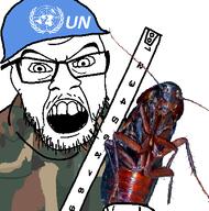 bug camo camouflage cockroach glasses helmet insects merge mustache open_mouth ruler series:fusionjaks soldier soyjak stubble text thrembo uniform united_nations variant:56jak variant:feraljak white_background // 426x430 // 103.1KB