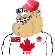 Canadian_Nationalist_Party aryan canada flag:canada_royal_ensign subvariant:canaryan // 836x850 // 88.7KB