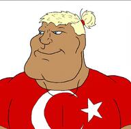 flag flag:turkiye man_bun manbun subvariant:mexiaryan turkish_flag turkiye // 1024x1010 // 215.7KB