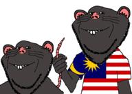 2soyjaks arm cheddar_c_cheese clothes county ear flag grey_skin hand malaysia pink_skin rat smile soyjak stubble tail tshirt variant:impish_soyak_ears // 2100x1500 // 563.0KB