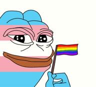amphibian frog gay_flag meta:not_oc nas nas:pepe pepe pepe_the_frog smile transgender_flag // 452x409 // 76.1KB