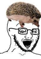 animal crazed glasses hedgehog open_mouth soyjak stubble subvariant:soyak_(crazed) variant:soyak // 532x768 // 360.8KB