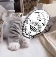 animal animated artist:soyia_agent baby cat cute ext=gif kitty variant:gapejak variant:impish_soyak_ears variant:markiplier_soyjak variant:soyak wholesome // 240x242 // 4.0MB