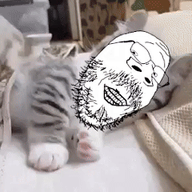 animal animated artist:soyia_agent baby cat cute ext=gif kitty variant:gapejak variant:impish_soyak_ears variant:markiplier_soyjak variant:soyak wholesome // 240x242 // 4.0MB