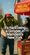 amphibian animated azerbaijan doctor_jimbo_the_somali ext=mp4 flag:ruskraine frog full_body groyper holding_object kebab laptop maga meta:ai_generated music nas nas:pepe new_york_city nyc pepe_the_frog pigeon song video zohran_mamdani // 720x1280, 35.2s // 6.2MB