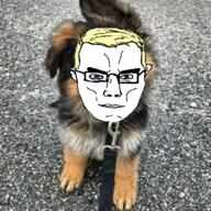 blue_eyes closed_mouth collar dog glasses hair happy music_album smile subvariant:chudjak_front subvariant:muscular_chud trend:aryan variant:chudjak // 724x725 // 1.2MB