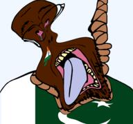 bloated brainlet brown_skin dead deformed distorted flag:india flag:pakistan hanging nigger paki pakistan queen_of_spades shitskin suicide tongue variant:bernd yellow_sclera yellow_teeth // 1677x1569 // 443.0KB