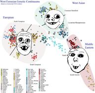 3soyjaks baby bulgaria chart christianity czechia deformed estonia finland france georgia germany greece hair hungary ireland islam italy judaism morocco mustache norway palestine poland romania russia soyjak spain stubble subvariant:jacobson subvariant:nathaniel text turkiye ukraine variant:a24_slowburn_soyjak variant:david variant:gapejak // 628x611 // 291.7KB