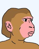 animal ear macaque monkey pajeet pink_skin rhesus_macaque series:animaljaks variant:pajeetjak // 634x783 // 12.5KB