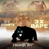 animal black dog dough_boy gape glowing_eyes movie pitbull pun soyjak text thougher vantablack variant:soyak // 825x835 // 137.0KB