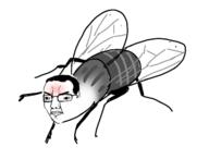 animal bug fly full_body glasses hair red soyjak variant:chudjak wing // 636x482 // 105.6KB