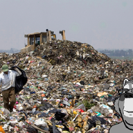 animal dump ear glasses irl_background landfill raccoon soyjak stubble subvariant:wholesome_soyjak variant:gapejak // 1000x616 // 1.3MB