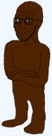 african_aryan black_skin brown_skin lazy_edit nigger self_insert that_one_fucking_picture_of_nate_being_a_smug_little_bastard variant:soyak // 846x2208 // 23.2KB