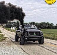 cow diesel driving field grey_squirrel open_mouth pickup_truck road rural smoke squirrel tree truck variant:feraljak vehicle // 1893x1842 // 6.3MB