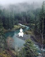 nature river variant:gapejak // 564x705 // 266.2KB